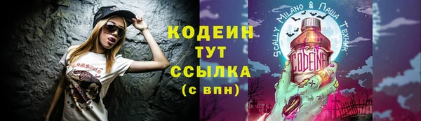 прущие грибы Балабаново