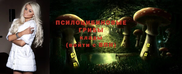 прущие грибы Балабаново