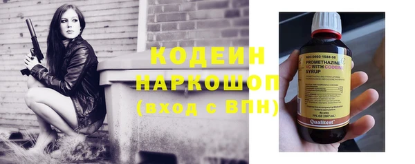 прущие грибы Балабаново