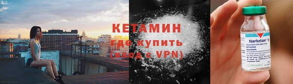 прущие грибы Балабаново