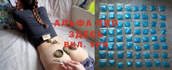 прущие грибы Балабаново