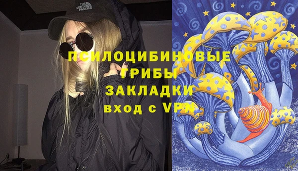 прущие грибы Балабаново