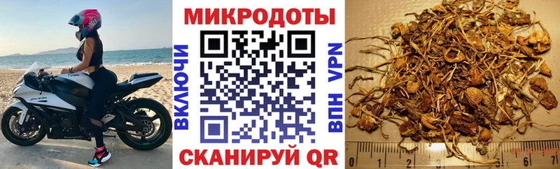 гидра онион  Сухой Лог  Галлюциногенные грибы Psilocybe 